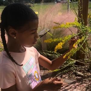 Meet your Posher, Tracy